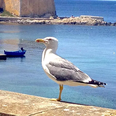 Sulle Mura